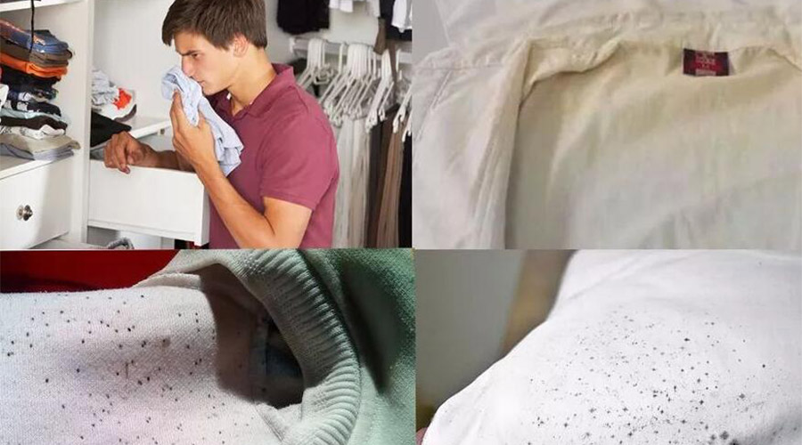 衣服護理小常識：潮濕天衣物有霉味不宜穿  該怎么辦？