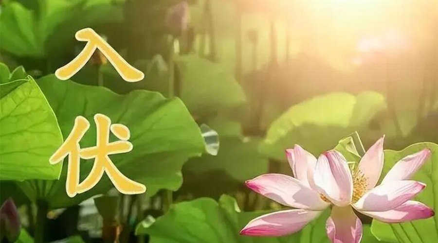 入伏天來襲！金環(huán)電器提醒大家要注意的事項(xiàng)