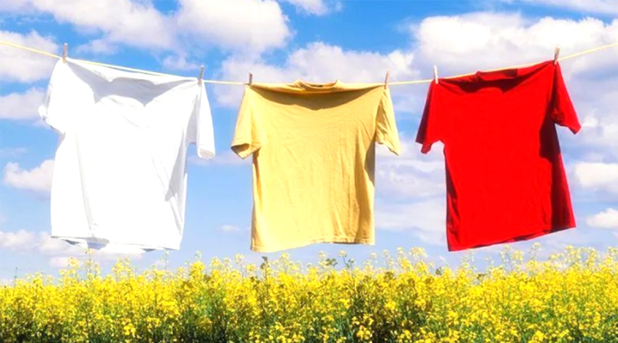 三伏天持續(xù)40天！金環(huán)電器提醒高溫天氣下晾曬衣物的弊端