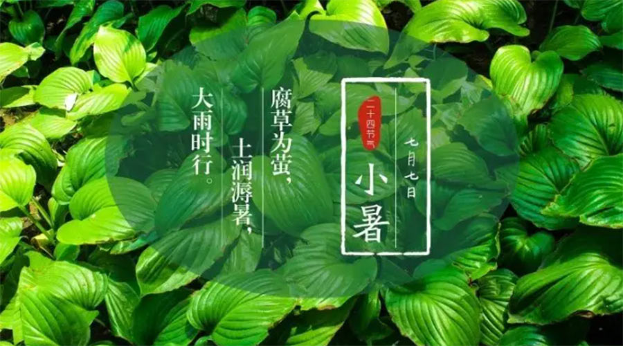 小暑時節(jié)來到！金環(huán)電器提醒大家要注意的事項