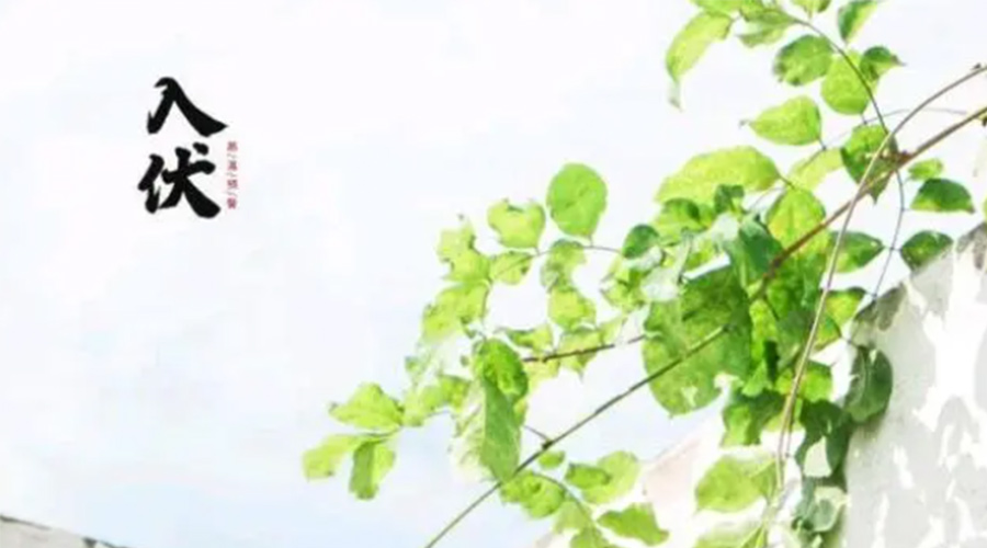 初伏時(shí)節(jié)！金環(huán)電器提醒大家要注意的事項(xiàng)