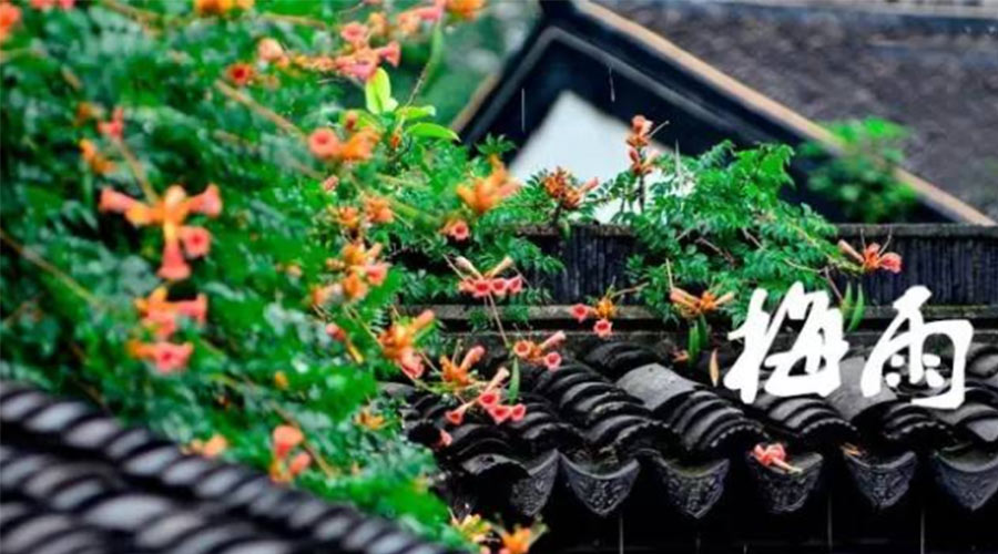 什么是梅雨？梅雨如何形成？  金環(huán)電器告訴你答案